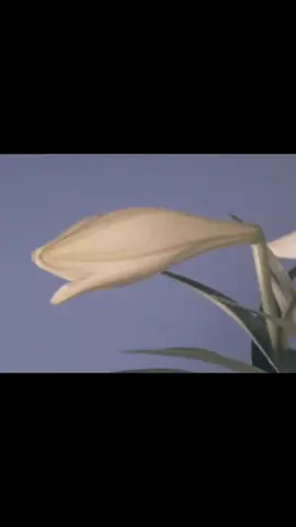 He who cannot master himself will be mastered by all things. #aesthetic #edit #beauty #vintage #nature 