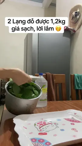 Mẻ giá hôm nay trắng, mập và mọc thẳng tắp 🥰🥰🥰#xuhuong #trending #lenxuhuong_tiktok #cuocsongthuongngay🌹 #vuivemoingay❤️ #vaobep #traogiatri #lamgiadotainha  @Trang review 87 