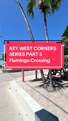 The sweetest corner in Key West 📍 Flamingo Crossing on Duval & Virginia. Serving up homemade ice cream and sorbets since 1987! Exotic flavors you won’t find just anywhere. 🍦 PRO TIP/: it’s cash only but there’s an atm inside.  #keywest #keywestflorida #bestofkeywest #thingstodoinkeywest #keywestcorners 