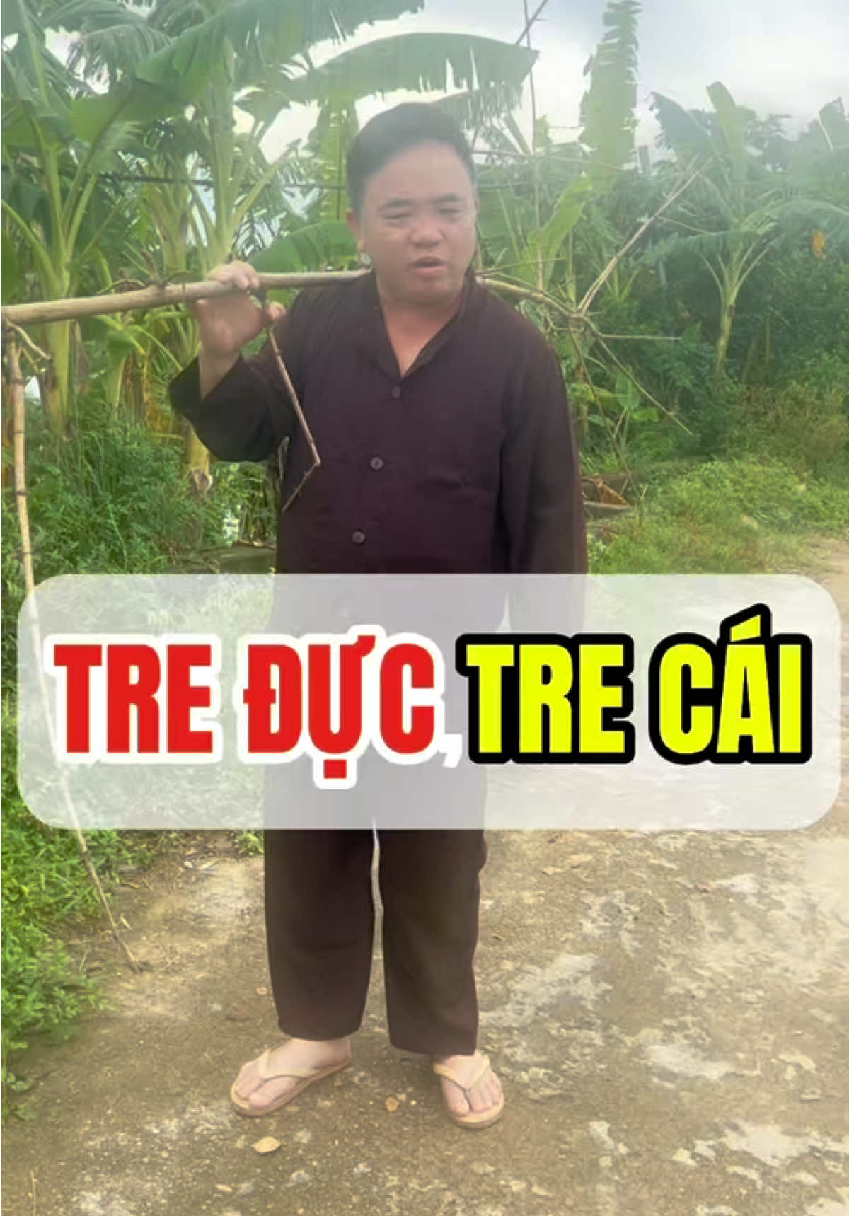 Trộm tre làm trõng cho bố vợ tương lai 🤭🤭🤭#cuoibebung #giadinhhaihuoc #anhembaton #haihaihuoc#haimaptv102 