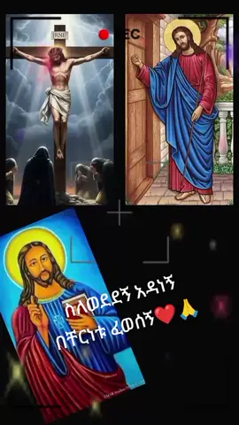 #እግዚአብሔር_ብርሃኔና_መድኀኒቴ_ነው #fyp 