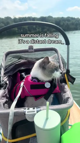 we are going to miss summer so much! we’re also very excited for what the fall season will bring!! what is your favorite season?  #contentcreation #PetsOfTikTok #cutepets
