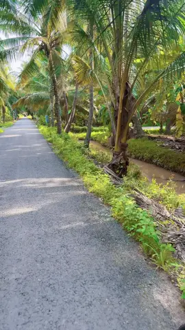 #🌴🌴🌴🌴🌴🌴🌴🌴🌴 #bentrexudua🌴🌴 #thiennhien #nhachaymoingay #bentrexudua🌴🌴 tôi không còn yêu