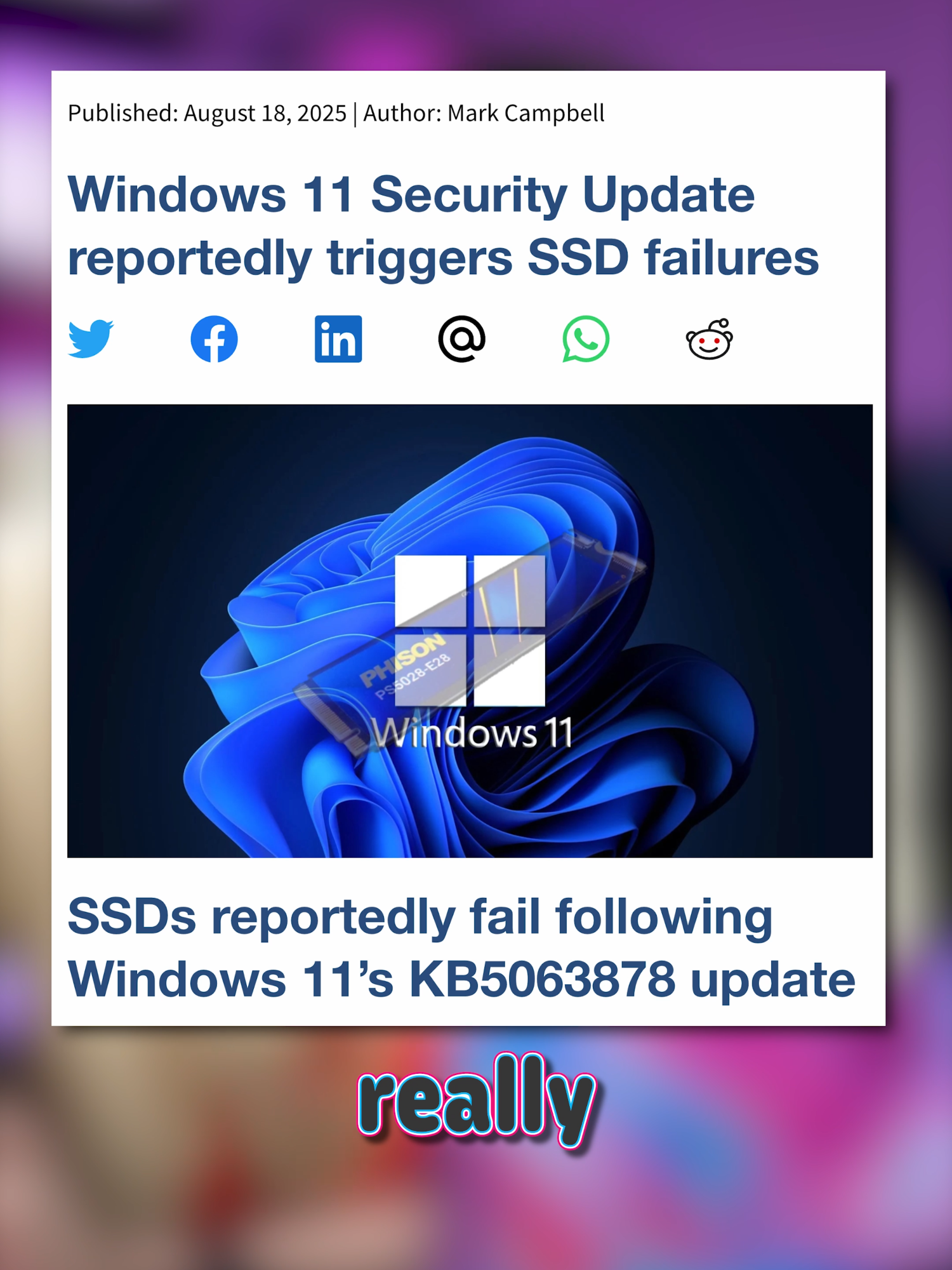 If you want to keep your PC alive, DO NOT update Windows.