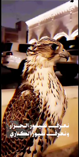 #ليل_غسطس #خالد_البريك #CapCut 