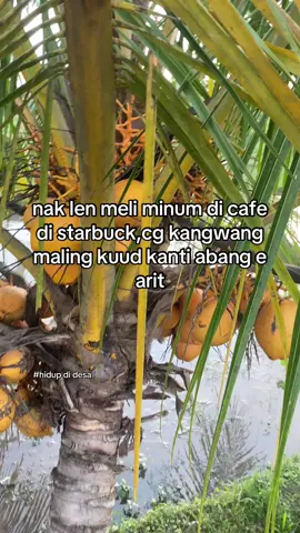 #fyp #xybca #fypシ゚viral likee”