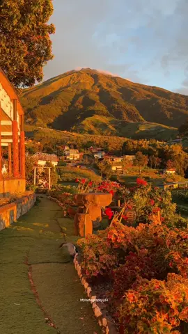 Amazing view Magelang,ketika gunung sumbing di sorot langsung sunrsie #silancurhighland #sunrise #sunrisemagelang #fyp 