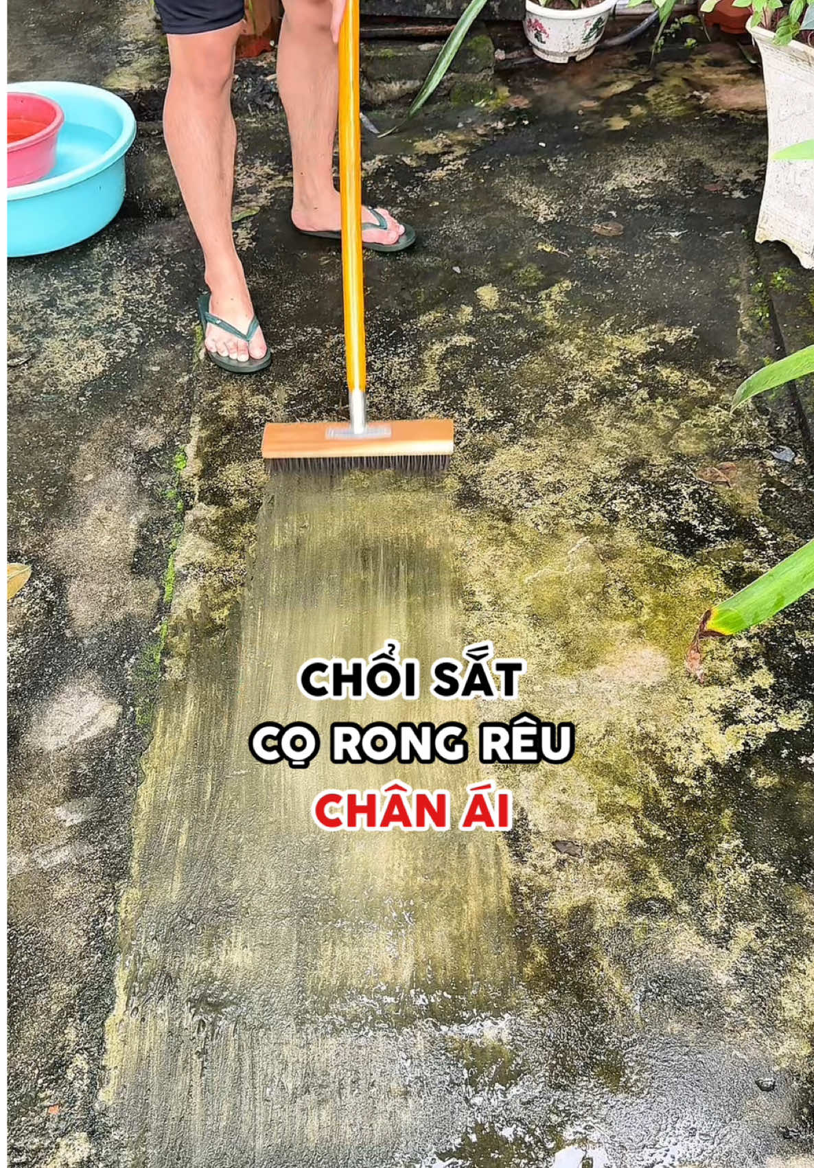 Có cây chổi sắt này cọ rong rêu khoẻ re, sân vườn lúc nào cũng sạch sẽ không lo trơn trượt té ngã #choisatchareu #choisatcorongreu #vesinhnhacua #giadungtienich 