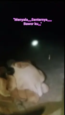 #Dj nya pakai lampu senter dulu ya wor🤣