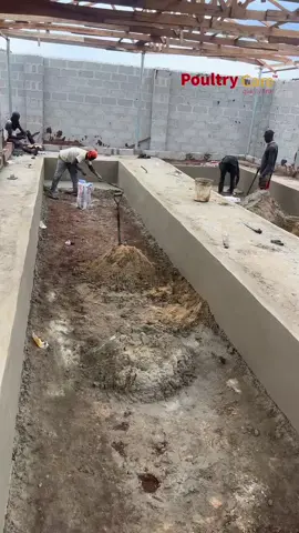 Na 1,200-hen capacity farm be this. At just 75% production, you fit dey collect 30 crates per day straight from your farm. 👉🏽 Daily feed cost: ₦92,500 (5 bags) 👉🏽 Daily sales: ₦144,000 (30 crates @ ₦4,800 farm gate price o, some dey sell N5300 self) 👉🏽 Net profit: ₦46,865 per day(after salary, fuel, med. & vacc.) That’s ₦328k profit weekly and ₦1.3m+ monthly (over $800). To set up this kind of standard farm wey get everything complete: pen house, cages, solar, generator, borehole, staff quarters, office, point-of-cage birds, and training — you need just ₦34,050,000 ($22,700). You see ehn, you go supply all materials, while we go just supervise construction, install our cages, stock your birds, assign one staff to your farm wey go train your people for 1 month until your farm fit stand well before we withdraw am. You don dey send money home, why not make your farm send you dollars back?  This is the business that pays itself! Send message or visit our office we dey close to you or we fit schedule zoom call to answer your questions.