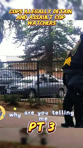 #audit #copsoftiktok #foryou #fyp #policeofficer 