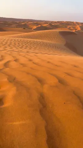 📍Wahiba Sands, Oman #tiktoktravel #fyp #desert #oman🇴🇲 #safari 