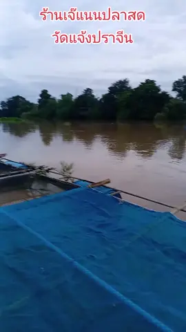 มาอุดหนุน​กันหน่อยน้า#เจ๊แนนปลาสดซอยวัดแจ้งปราจีน​นะ​จ๊ะ