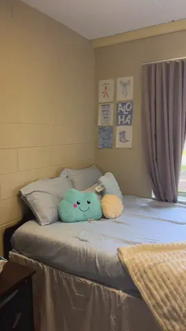 i can’t stop posting about my room bc i’m actually obsessed ☺️🩵 #fyp #senioryear #transiton #dorm #dormreveal 