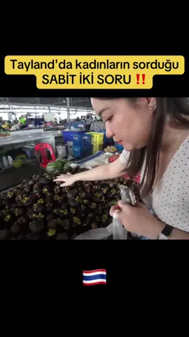 Tayland'da şu iki soru asla şaşmaz 🇹🇭❤️ . . #ftp #keşfet #keşfetteyiz #tayland #taylanddakitürkler 