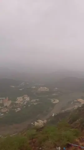 #الأكسبلور_فولو_لايك_كومنت_موتابعة #الأكسبلور_فولو_لايك_كومنت 