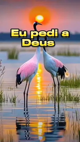 eu pedi a Deus 