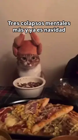 Ya se viene el ding dong dang ☃️❄️ #memes #videos #humor #gatitos 