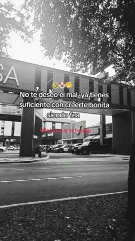 #ridicula🤣🤡🤟 #payasa🤡🤣🤡🤣 #Ella jura ser bonita🤡🤣🤫 yo acá llorando porque ella me dise que yo soy fea y ella bonita 🤣🤡🤢🤮Acá estamos para meter presión no para sentírlo 🤭😌😌yo con acné y ella con cuerpo de capi bara🤣🤣😌🤭🤮ups 🫢#besitos😘🦋🌹 