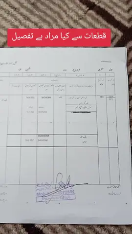 #creatorsearchinsights #foryou #viral#studytipsforstudents #tiktok 