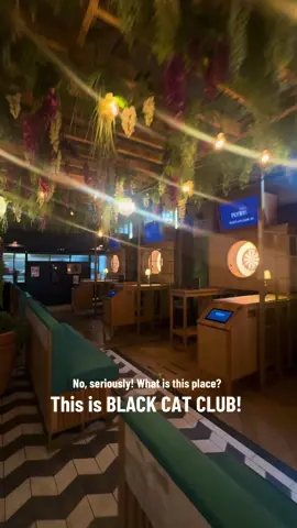 THIS IS BLACK CAT CLUB! #liverpool #darts #gaming #beers #fyp 