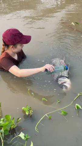 Amazing Fish Trapping Skills 
