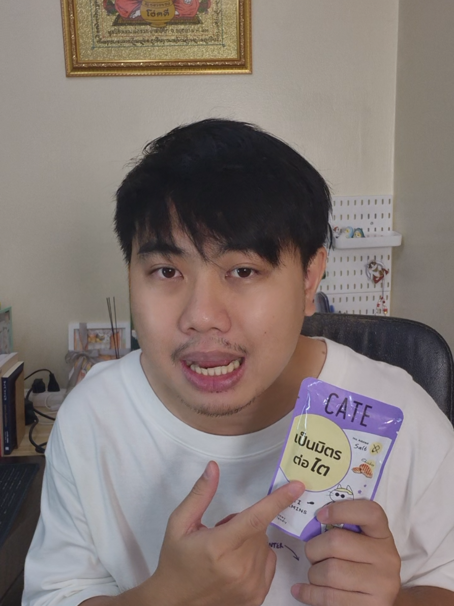 #อาหารเปียกแมว สูตรเป็นมิตรต่อไต บอกเลยว่าแมวชอบมาก #มีแมวต้องมีเคท #cateforcat #แมว 