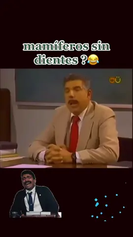 #mamiferos#sin #dientes 