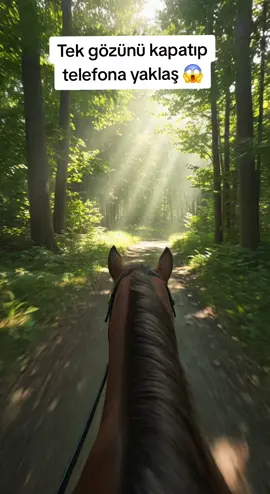 Ormanın içinde at binmek nasıl bir his?✨️ #yapayzekâ #forest  #aı #horse #TTT