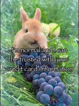 I’m normal ☺️☺️#bunny #rabbitsoftiktok #trending #meme #fyp 