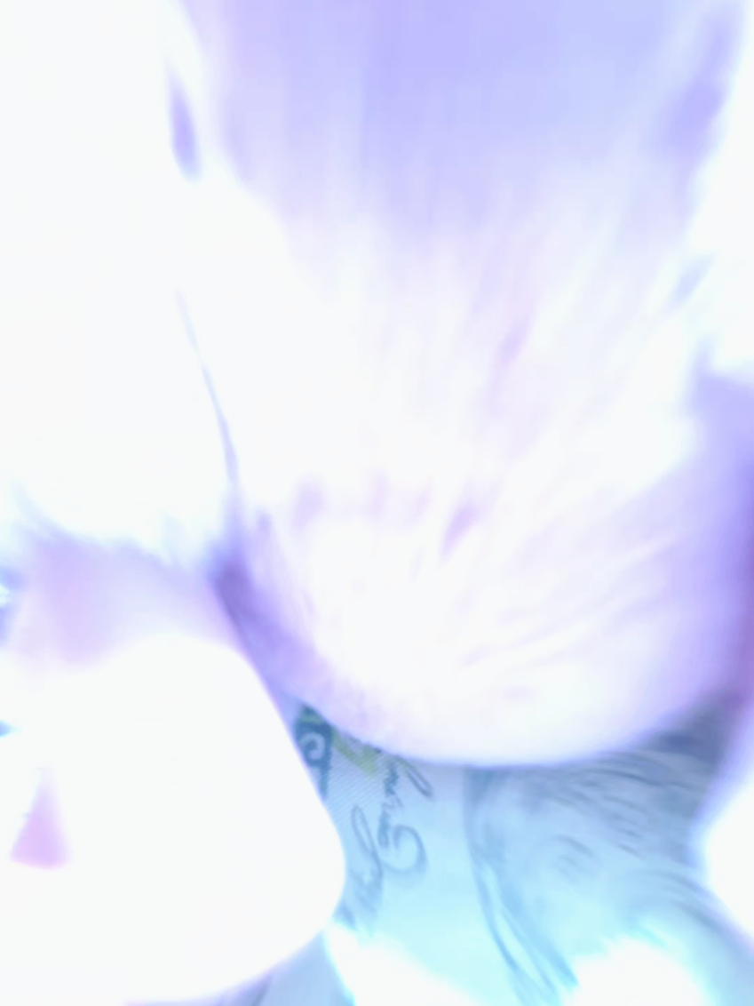 Princess Twilight Sparkle plush is done! She'll be up in the shop soon and will be $125! 🦄✨️ All ponies used are pre-owned, pre-loved project ponies. Each plush keychain is hand made and mostly or entirely hand sewn. They also include a keyring to attach to any bag! 💜✨️ #labubu #mylittlepony #mylittleponyfriendshipismagic #twilightsparkle #sewingtiktok 