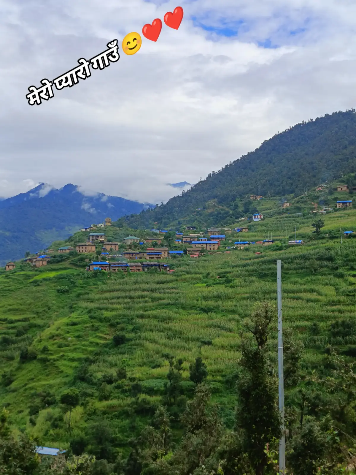 #ThaQuriQueen😊🌼Kusherural🌿 #JajarkotMuser🇳🇵 