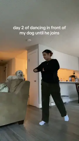 bruh he literally yawned 😔 benji is not in the mood today i guess! #dancetok #dogsoftiktok #fyp #dance 