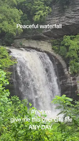 if you're Looking for a place to sit down and think about life... Looking Glass Falls, Brevard North Carolina #waterfalls #wncmountains #wnc #foryou #peaceful 