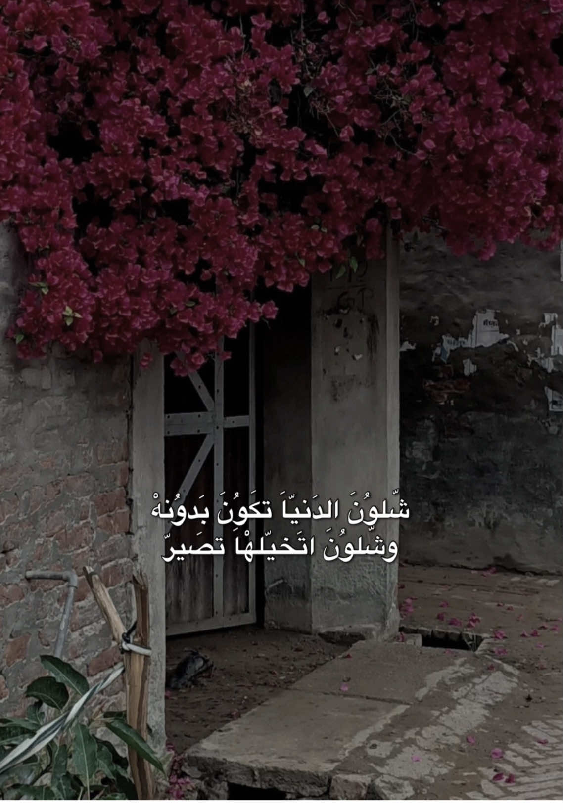 شلون الدنيا تكون بدونكـ وشلون اتخيلها تصير❤️وعن حبكـ لمن سألوني كتلهم الاول والاخير #هيثم_يوسف #هيثم_يوسف_آمير_الحب #هيثم #الكل_بالكل #شلون_الدنيا_تكون_بدونك 