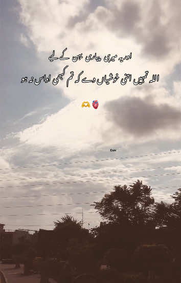 اور یہ میری پیاری بہن کے لیےاللہ تمہیں اتنی خوشیاں دے کہ تم کبھی اداس نہ ہو   #creatorsearchinsights #trinding #urdupoetry #unfrezzmyaccount #unfrezzmyaccount #fyp #sister #emotional 