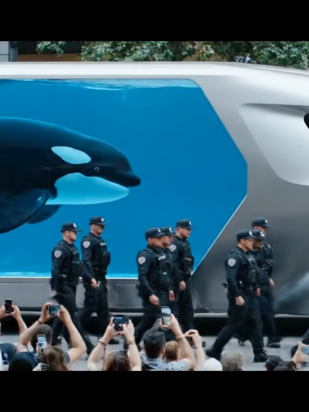 #dolphinincident #jessicaredcliffeorca #trending #foryoupage #orcaincident 