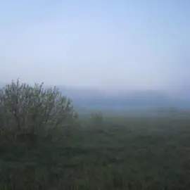 #whoisnewell #саундклауд 