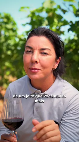 Novo mundo 🌍 e velho mundo 👴🏻🌎, já ouviu falar? Vem entender mais o que isso significa no mundo dos vinhos 🍷