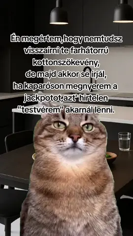 #Meme #MemeCut #CapCut 