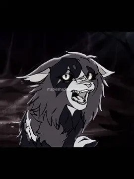[ #MAPLESHADE ] i feel like i ate this edit up. I fear i shall never stop editing mapleshade ————————- HASHTAGS :  [ #warriorcats #waca #fyp #edit ] ————————- CREDITS : - ‘you will be okay’ map - ‘in aisles’ animation - ‘bust your kneecaps’ reanimated map ————————- Lmk if you wanna be tagged or not! Unfortanutely i cant tag users with hashtag cuz of the update  @☆ 𝐆𝐫𝐮𝐦𝐩𝐲 ☆  @𝐡𝐚𝐰𝐤!🖊🐾🪶 @bluey @Bristlefrost🌨️🐾 (Andy’s ver) 