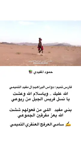 #خيال🚶🏻‍♂️💯 #الفروسية🐎 #حائلندا #الخيول_العربية_الأصيلة #فارس_وخيال 