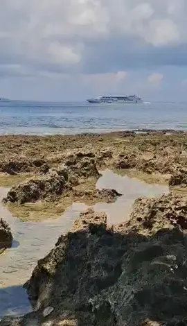 Cantika 8f..berakt Selasa Kamis dan Minggu dari mndo ke Talaud🙏