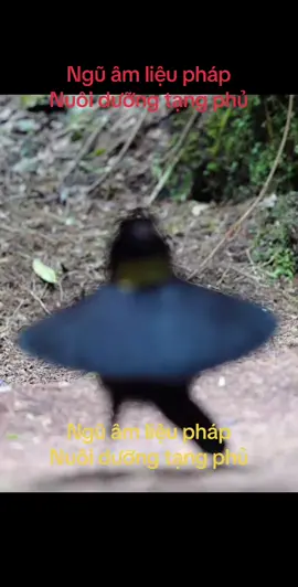 Đây không chỉ là âm nhạc – Đây là liệu pháp chữa lành Dưỡng khí – Dưỡng thân – Dưỡng tâm bằng âm thanh Hồi phục nội lực với âm thanh rung động sâu Tần số chữa lành từ thời cổ đại Thiền cùng âm thanh này – Kết nối nguồn năng lượng nguyên thủy #lieuphapamthanh #musictherapy #amnhacchualanh #amthanhchualanh #soundhealing #vibrationalhealing #healingfrequency #frequencytherapy #songamchualanh #duongsinhdongy #dongy #dongyhoc #duongsinh #khoedepmoingay #tudienkhoedep #tudienchualanh #dongytapluuyen #chualanhtunhien #tiengtrongvangdoi #tiengtrongmelinh #trongluongnghi #trongvietnam #trongdanct #truyenthongamnhac #trongdongy #trongchieuchualanh #haokhidonga #dongaychi #khichatdongphuong #khiviet #vietnampride #tinhthancodai #truyenthongphuongdong #thienchualanh #noicong #thiendongy #thientrongaudio #noikhi #khiquyentruyen #chualanhthantam #congphuhoithuong #truyencamhung #khoedepcungnhau #congdongchualanh #truyenthongviet #vanhoadongphuong #duongvesucmanhnoi #mocannhien  #mocanhien.  #mocannhientherapy  #amnhaccotruyen #amnhacdantoc #thocavietnam # #HealingSounds #AncientVibes #BabyHealing #SoftEnergy #PureSoul #InnerChildHealing #PeacefulVibes #GentleAwakening