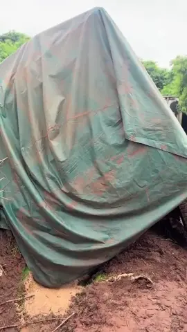 #1ejourpourrassemblerles2000etplus #ejour-là #venezuela🇲🇱 #viraltiktok 