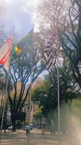 brazil 