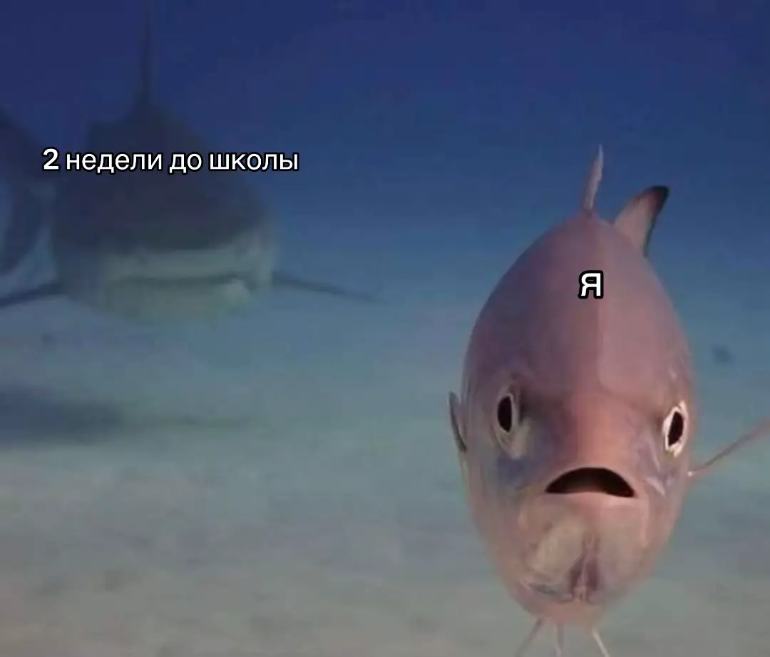 #школа #ад #щипост 