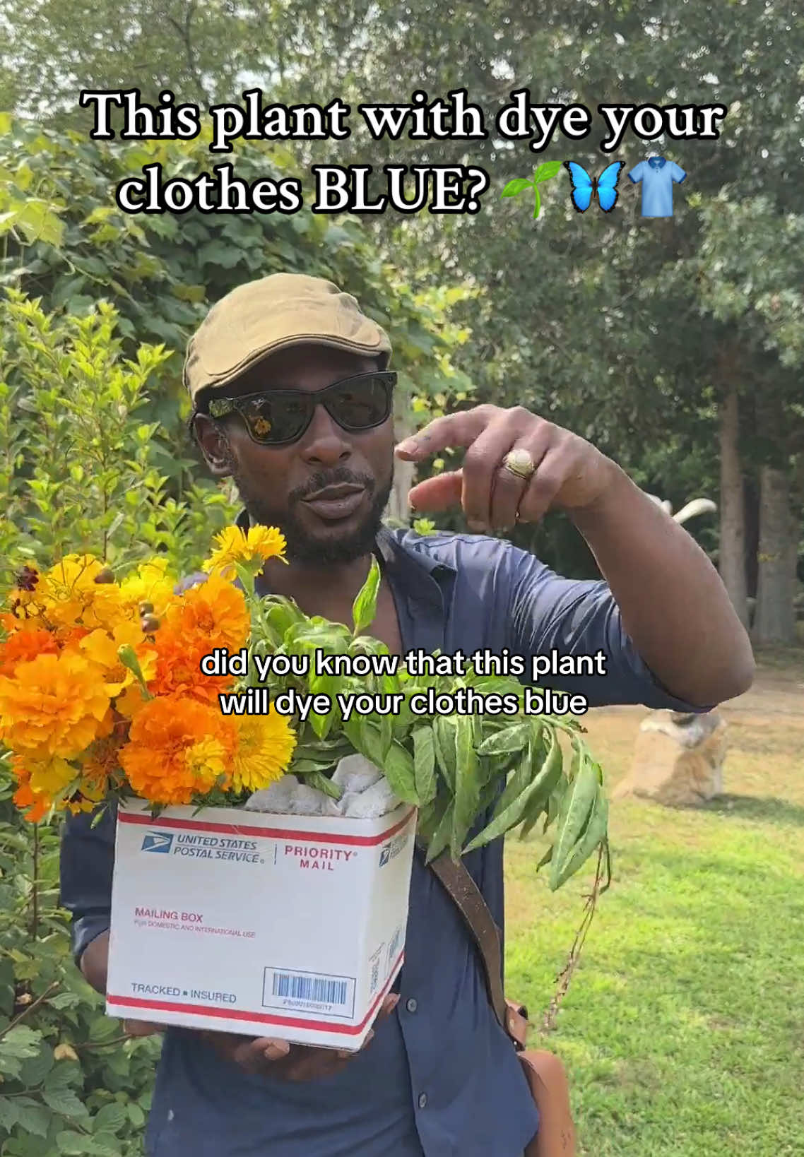 Have you worked with indigo? #indigo #botanicaldye #iloveplants 