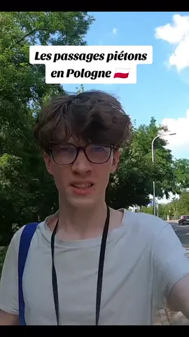 Les passages piétons en Pologne 🇵🇱 #pologne #route #voyage #Vlog 