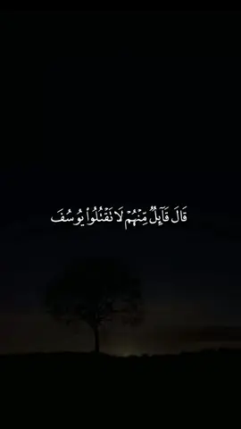 سورة يوسف ماتيسر منها - القارئ : سعود الفايز #سعود_الفايز #سورة_يوسف #راحه_نفسيه #القران_الكريم #quran 